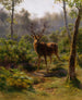 Un cervo - Rosa Bonheur — vista dell’opera