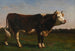 Reproduction del Re del gregge - Rosa Bonheur — vista dell’opera