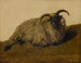 Le Mérinos - Rosa Bonheur — vista dell’opera