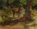I cervi e le belve in un bosco - Rosa Bonheur — vista dell’opera