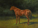 L'Autunno rosso - Rosa Bonheur — vista dell’opera