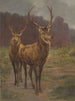 I sovrani della foresta - Rosa Bonheur — vista dell’opera