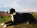 Ritratto di un labrador mastino in un paesaggio - Rosa Bonheur — vista dell’opera