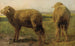 Pecore in un prato - Rosa Bonheur — vista dell’opera