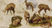 Studi di un stambecco - Rosa Bonheur — vista dell’opera