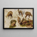 Studi di un stambecco - Rosa Bonheur — quadro incorniciato alla parete