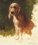 Studio di un cane - Rosa Bonheur — vista dell’opera