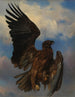 L'aigle blessé - Rosa Bonheur — vista dell’opera