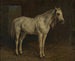 Cavallo bianco - Rosa Bonheur — vista dell’opera