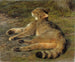 Chat sauvage - Rosa Bonheur — vista dell’opera