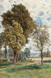 Contemplazione - Rose Emily Stanton — vista dell’opera
