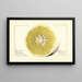 Citrus paradisi Silver Cluster - Royal Charles Steadman — quadro incorniciato alla parete