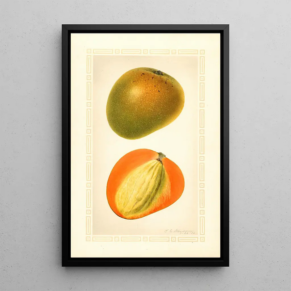 Mangifera indica Baboony - Royal Charles Steadman - Royal Charles Steadman — quadro incorniciato alla parete