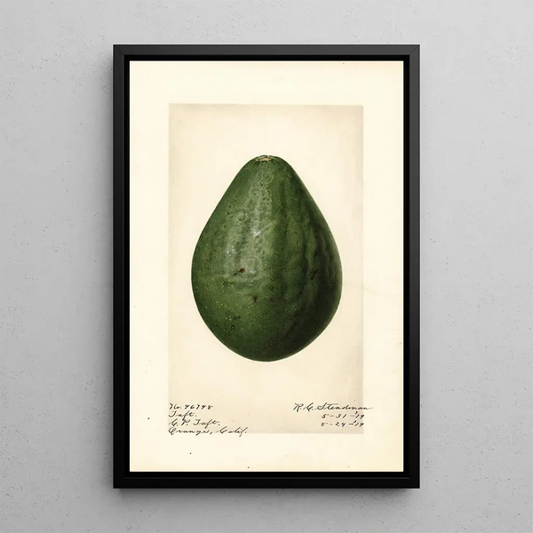 Persea Taft - Royal Charles Steadman - Royal Charles Steadman — quadro incorniciato alla parete