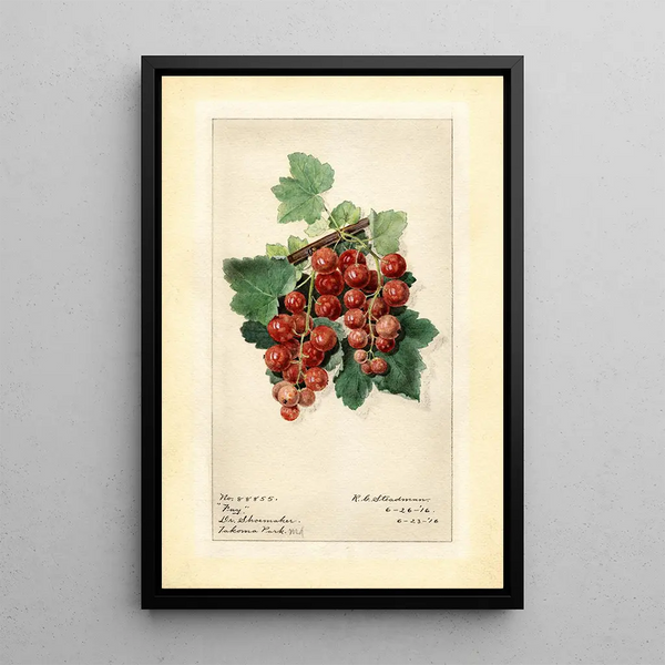 Ribes Fay - Royal Charles Steadman - Royal Charles Steadman — quadro incorniciato alla parete