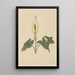 Livre de fleurs - Rudolf Koch — quadro incorniciato alla parete
