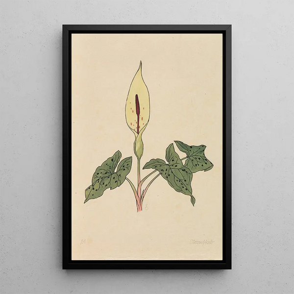 Livre de fleurs - Rudolf Koch — quadro incorniciato alla parete
