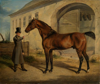 Rudolf Kuntz - Englischer Vollbluthengst Robert.webp