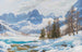 Seebensee vicino a Ehrwald - Rudolf Reschreiter — vista dell’opera