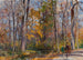 Bois d'automne - Rudolf Schramm-Zittau — vista dell’opera