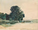 Studio di un albero - Rudolf von Alt — vista dell’opera