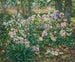 Fiori di vento - Ruger Donoho — vista dell’opera