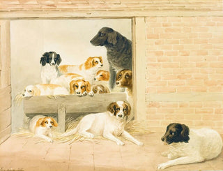S Evans - A Family Of Dogs.webp