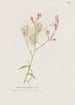 Gaura - S Fred Prince — vista dell’opera