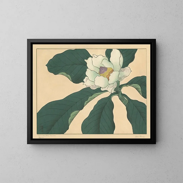 Fiori di cetriolo - Sakai Hōitsu — quadro incorniciato alla parete