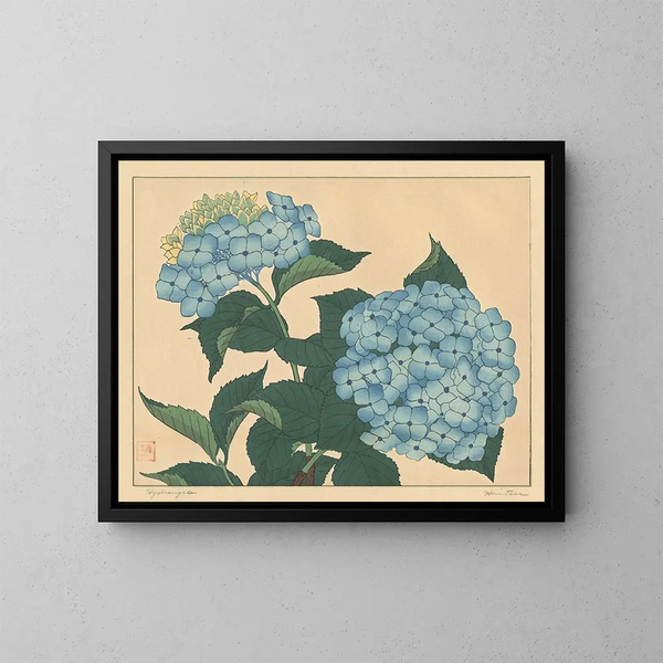 Ortensia - Sakai Hōitsu — quadro incorniciato alla parete