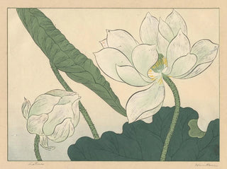 Lotus - Sakai Hōitsu — vista dell’opera