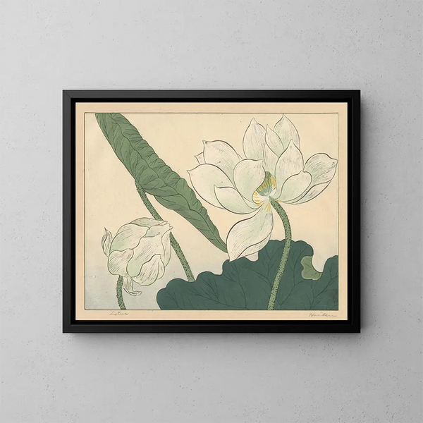 Lotus - Sakai Hōitsu — quadro incorniciato alla parete