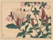 Magnolia - Sakai Hōitsu — vista dell’opera