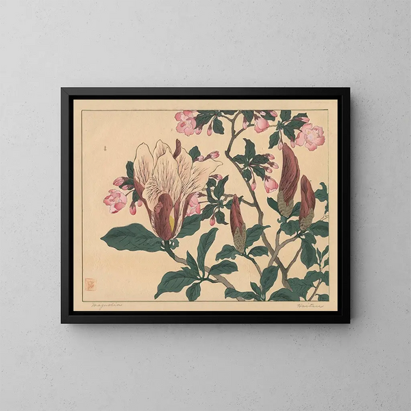 Magnolia - Sakai Hōitsu — quadro incorniciato alla parete