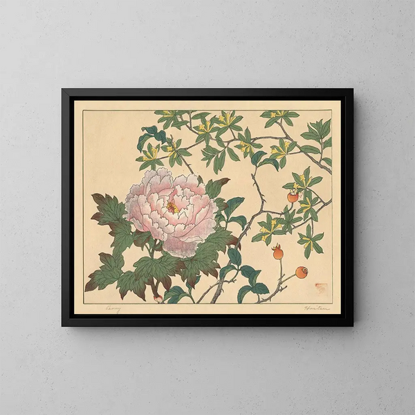Peonia - Sakai Hōitsu — quadro incorniciato alla parete