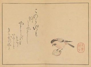 Sakai Hoitsu, pittura 17 - Sakai Hōitsu — vista dell’opera