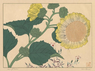 Girasoli - Sakai Hōitsu — vista dell’opera