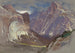 Half Dome e Royal Arches, Yosemite da Glacier Point - Samuel Colman — vista dell’opera