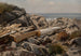 Scogliera sulla costa pacifica - Samuel Colman — vista dell’opera