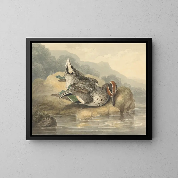 Teal morto - Samuel Howitt — quadro incorniciato alla parete