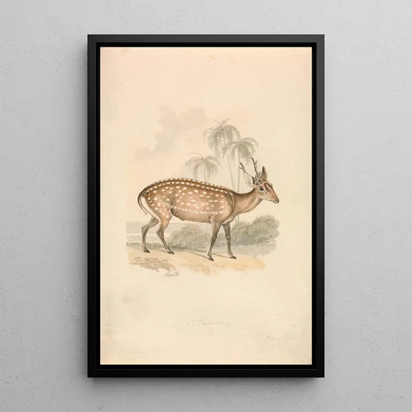 Cerf-cochon - Samuel Howitt — quadro incorniciato alla parete