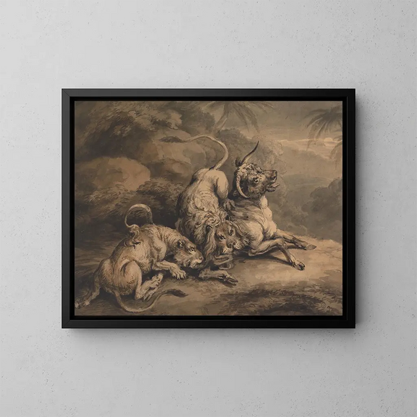 Leone e leonessa che attacca un bue - Samuel Howitt — quadro incorniciato alla parete
