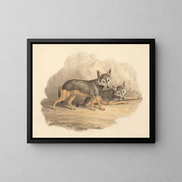 Due iene - Samuel Howitt — quadro incorniciato alla parete