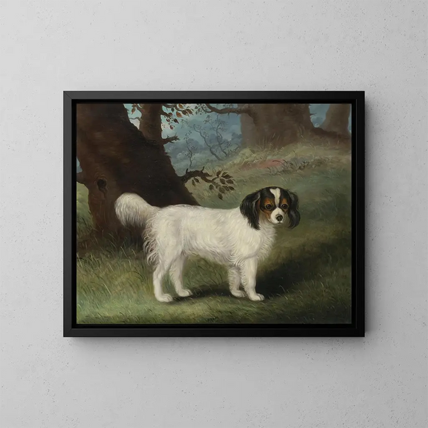 King Charles Spaniel - Samuel Spode — quadro incorniciato alla parete