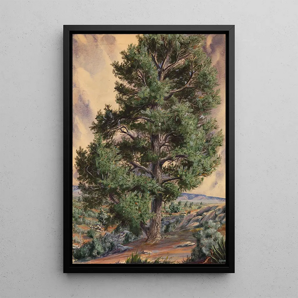 Pin - Sandow — quadro incorniciato alla parete