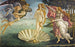 La Nascita di Venere - Sandro Botticelli — vista dell’opera