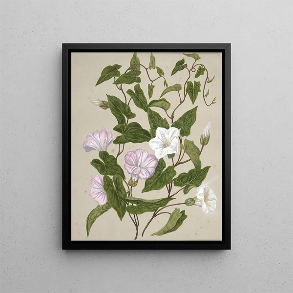 Liseron - Sarah Featon — quadro incorniciato alla parete