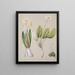 Celmisia - Sarah Featon — quadro incorniciato alla parete
