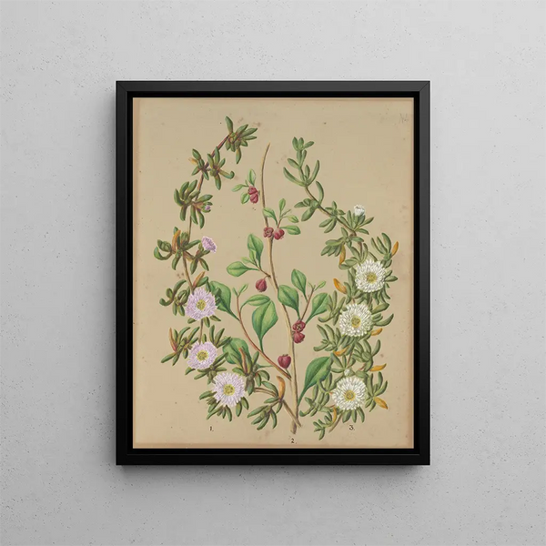 Usine di ghiaccio Horoka NZ Kokihi - Sarah Featon — quadro incorniciato alla parete