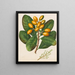 Arancione - Sarah Featon — quadro incorniciato alla parete